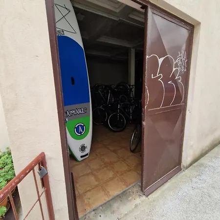 Octopus Piran